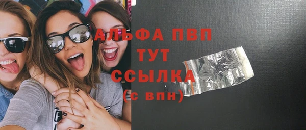 молекула духа Ростов