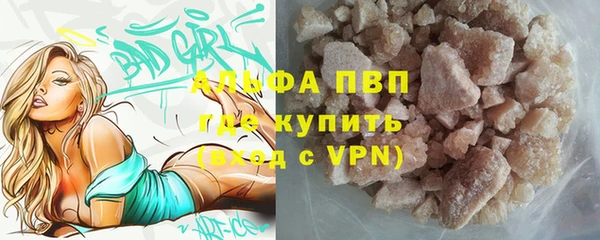 сатива Дмитровск