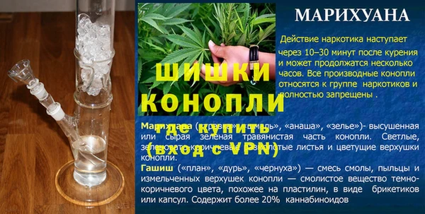 молекула духа Ростов