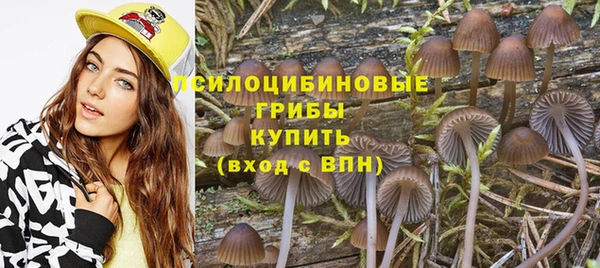 гидра Дмитриев